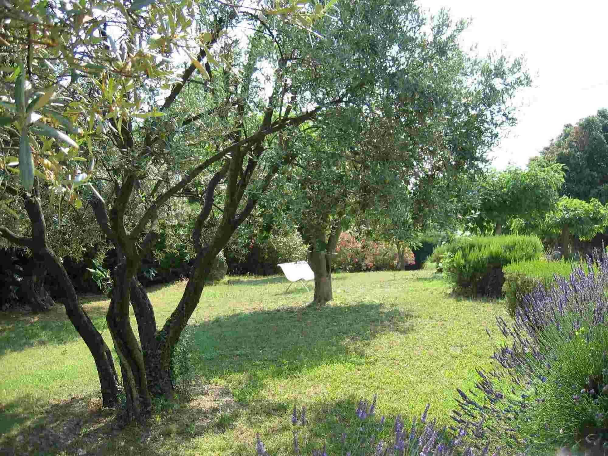 Bed and Breakfast La Vieille Bastide Flayosc Экстерьер фото